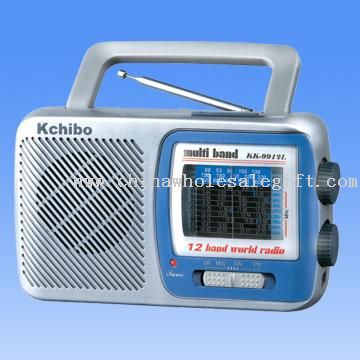 FM/MW/LW/SW1-9 12-Band Radio
