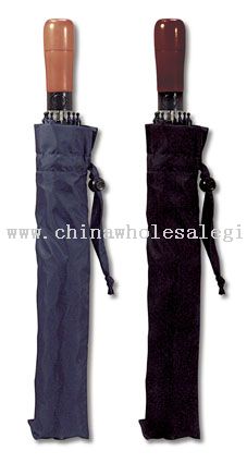 2 Fold Golf Umbrella
