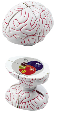 Picture Brain