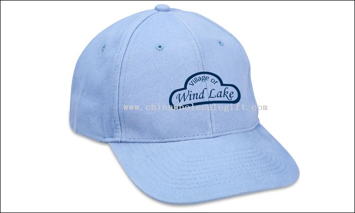 Tacoma 6 panel Cap