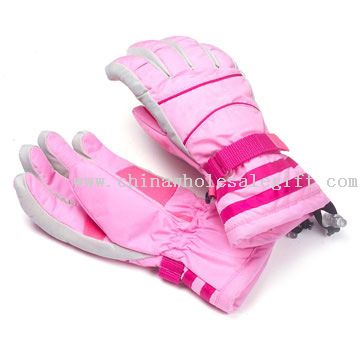 Winter Snowboard Ski gloves