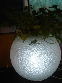 Light Up Flower Pot