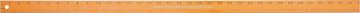 Steel Ruler