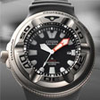 Stainless Steel Watches