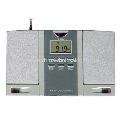 Two Speaker Radio