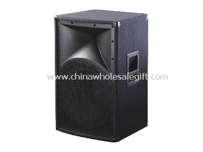 PA Speaker Box