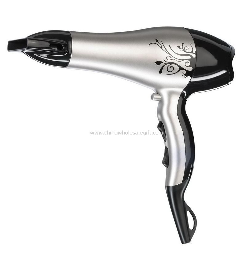 AC Motor Hair Dryer