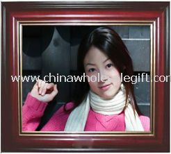 17 Inch Digital Photo Frame