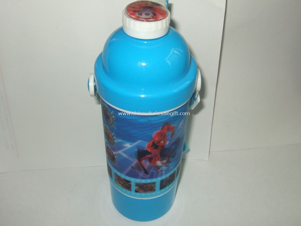 700ml 3D Water Bottle