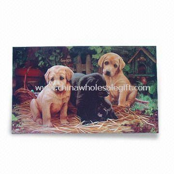 Anti-slip Eco-friendly Door/Floor Mat