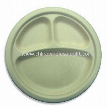 Paper Plate with 10-inch Diameter