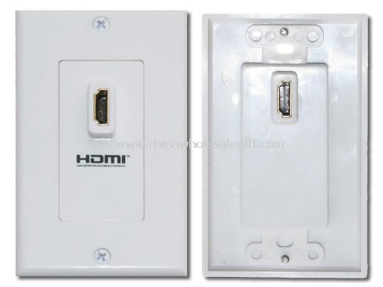 HDMI Wall Plate
