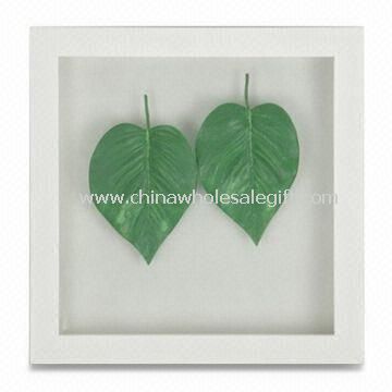 Plastic Picture Frame