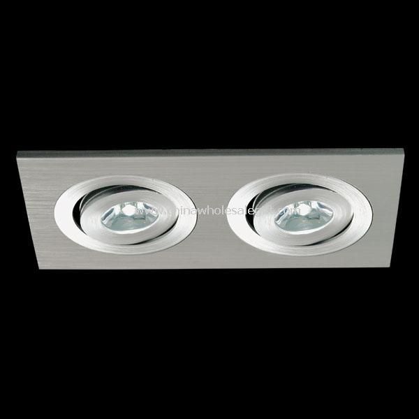 Two LED Down Light