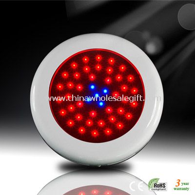40 Red 5 Blue 90w LED Grow Lights