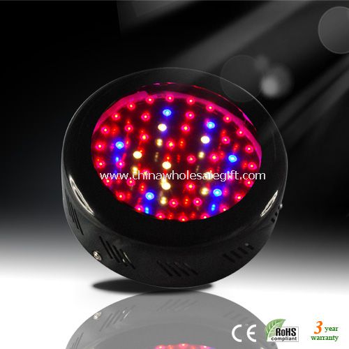 50pcs 1W Led Grow Light