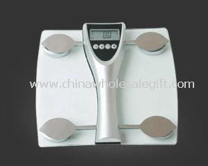 Body Fat Scale