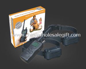 Multi-Dogs Training System