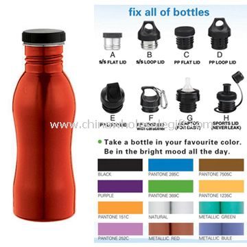 Sports Bottle