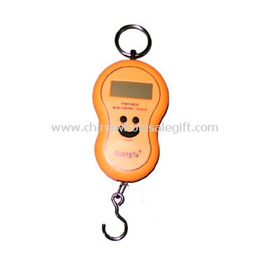 Portable Scale