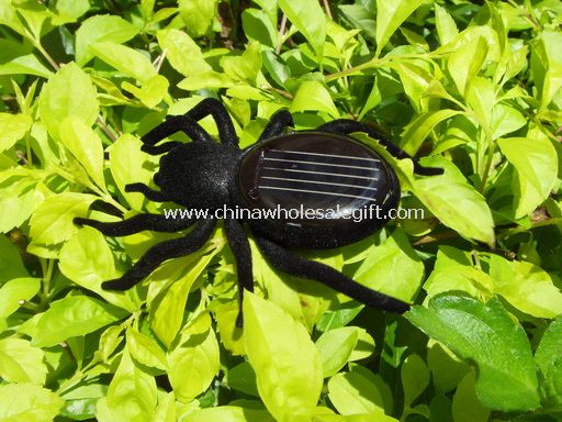Solar spider