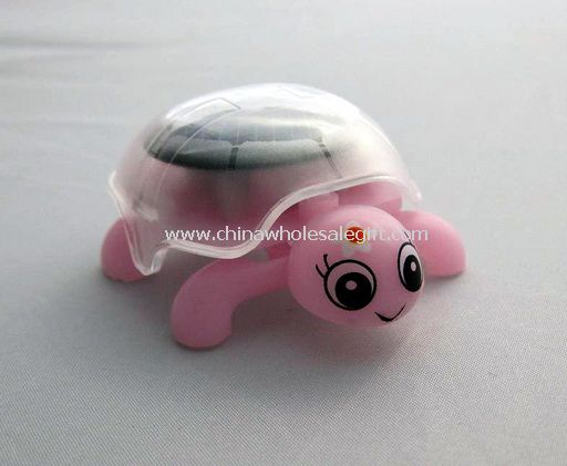 Solar tortoise