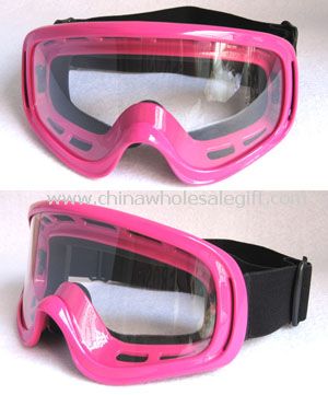 Ski Goggle