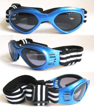 Pet spectacle