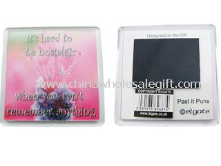 Insert photo Fridge Magnet