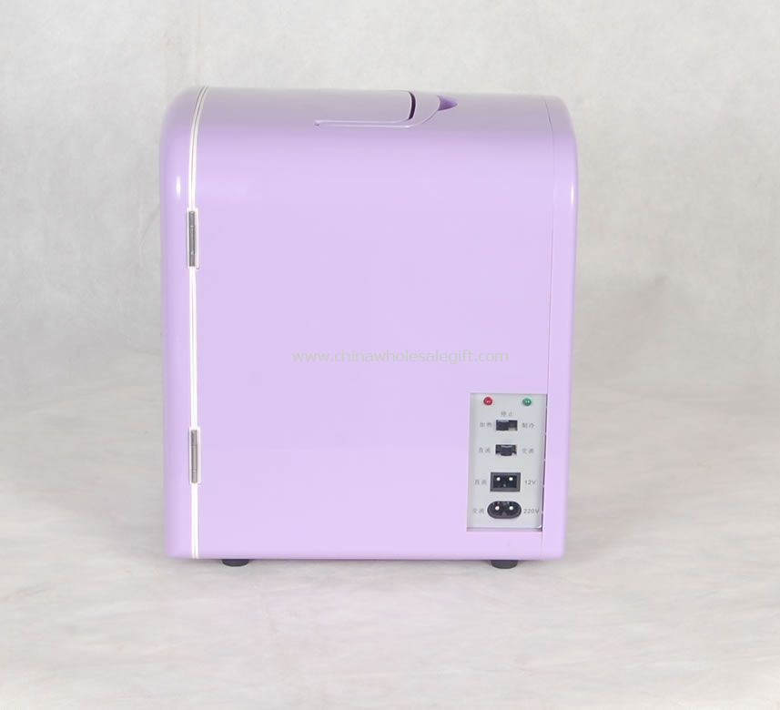 Car Fridge Cooler and Warmer
