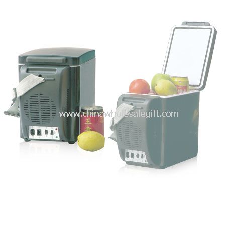 Car Refrigerator Cooler and Warmer