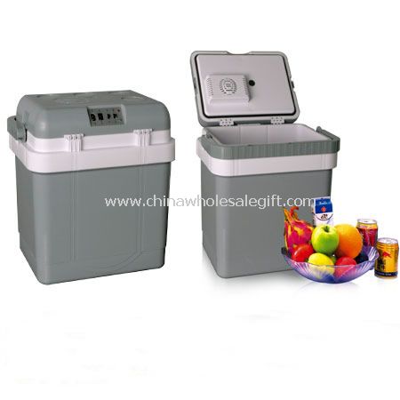 Car Thermoelectric  Cooler and Warmer