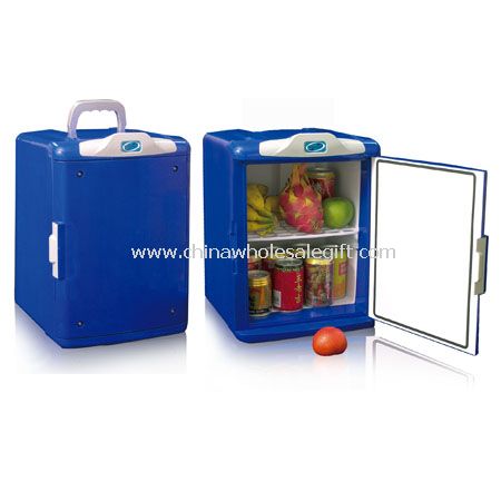 Car Thermoelectric Cooler & Warmer