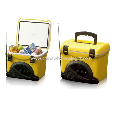 Cooler Box Radio