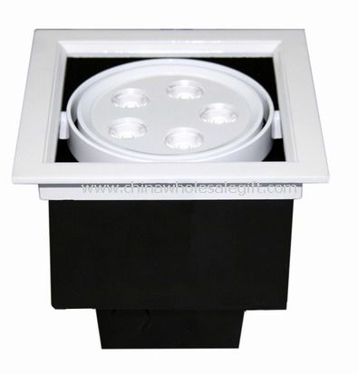 LED Down Light