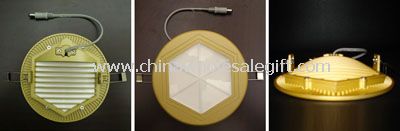 LED Down Light