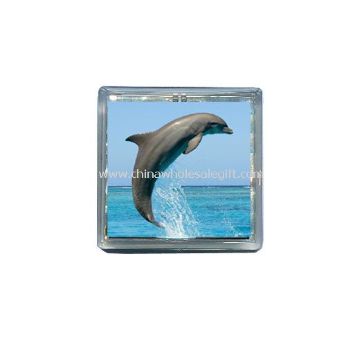 Solar fridge magnet