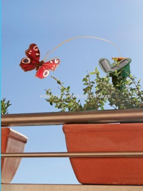Flying Solar Butterfly