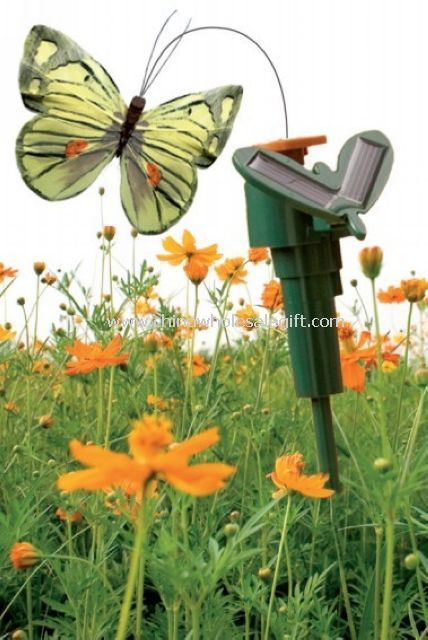 Flying Solar Butterfly