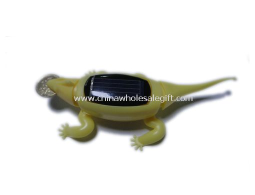 Solar Chameleon