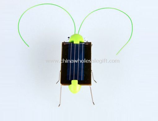 Solar locust