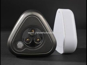 Sensor light