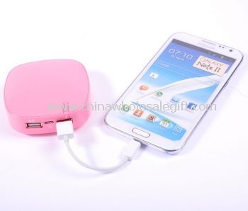 Portable Power Bank