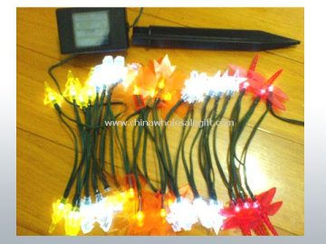 solar string outdoor light