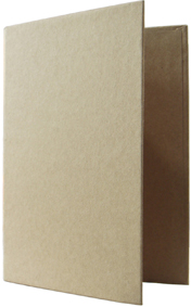 Storage binder