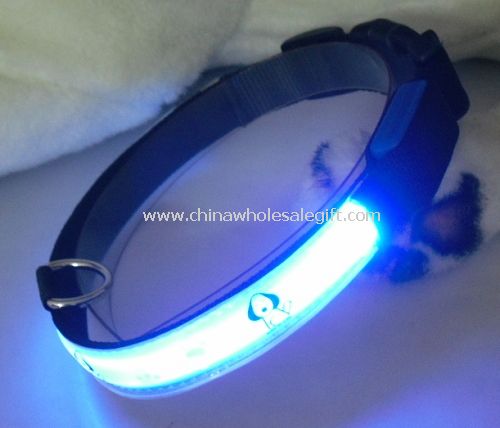 led glowing dog collar