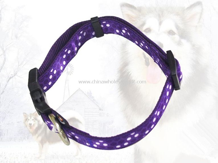 Pet collar
