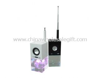 Crystal FM radio speaker