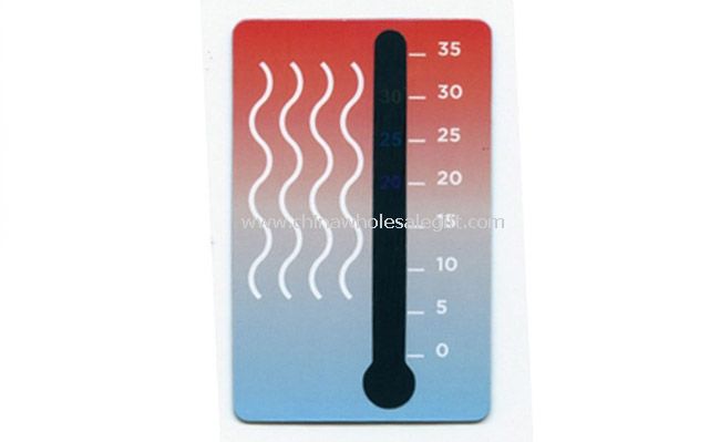 Shower thermometer