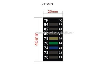 Room thermometer